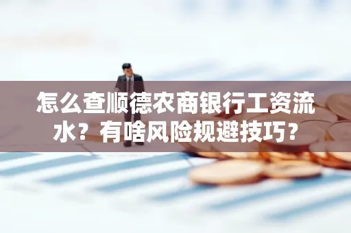 怎么查顺德农商银行工资流水？有啥风险规避技巧？